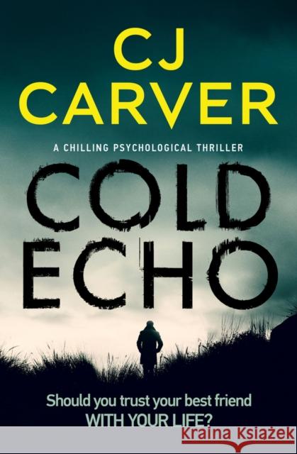 Cold Echo: A Chilling Psychological Thriller Carver, Cj 9781912986392 Bloodhound Books - książka