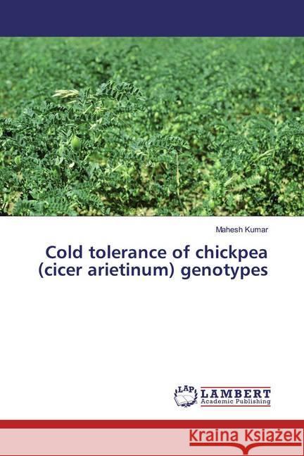 Cold tolerance of chickpea (cicer arietinum) genotypes Kumar, Mahesh 9783659798528 LAP Lambert Academic Publishing - książka