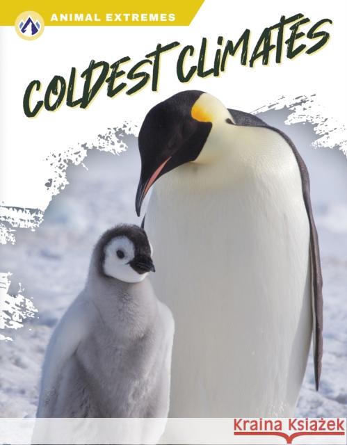 Coldest Climates Marissa Kirkman 9781637385821 Apex / Wea Int'l - książka