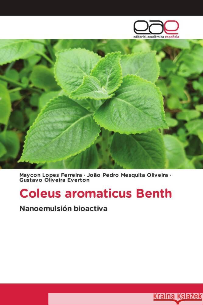 Coleus aromaticus Benth Ferreira, Maycon Lopes, Oliveira, João Pedro Mesquita, Everton, Gustavo Oliveira 9786203886436 Editorial Académica Española - książka