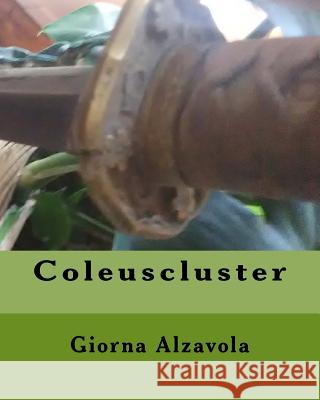 Coleuscluster Giorna Alzavola 9781974027927 Createspace Independent Publishing Platform - książka