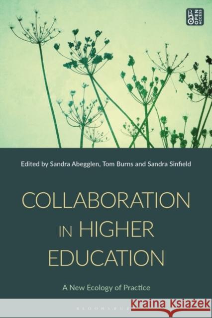 Collaboration in Higher Education Sandra Abegglen Tom Burns Sandra Sinfield 9781350334090 Bloomsbury Academic - książka