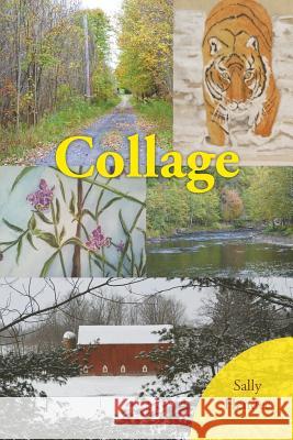 Collage Sally Hendee 9781481766654 Authorhouse - książka