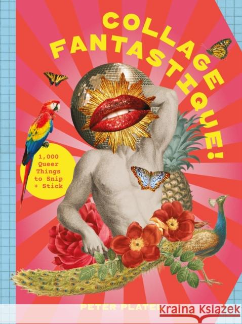 Collage Fantastique!: 1,000+ Queer Things to Snip and Stick Platel, Peter 9781529447569 Hachette Mobius - książka