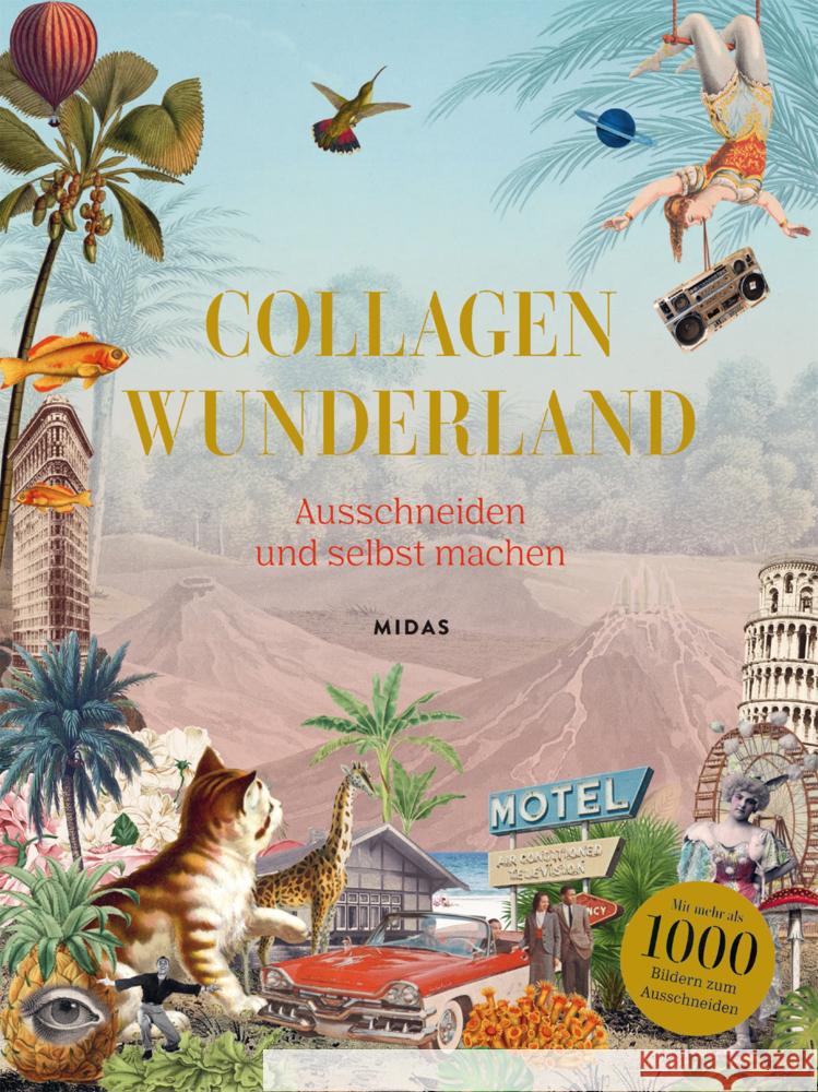 Collagen Wunderland Scott, Eliza 9783038762539 Midas Collection - książka