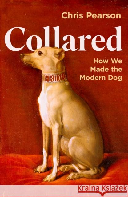 Collared: How We Made the Modern Dog Chris Pearson 9781800816411 Profile Books Ltd - książka