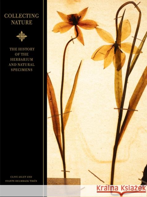 Collecting Nature: The History of the Herbarium and Natural Specimens Aslet, Clive 9789189425644 Bokforlaget Stolpe - książka