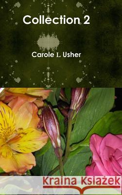 Collection 2 Carole Usher 9780359188406 Lulu.com - książka