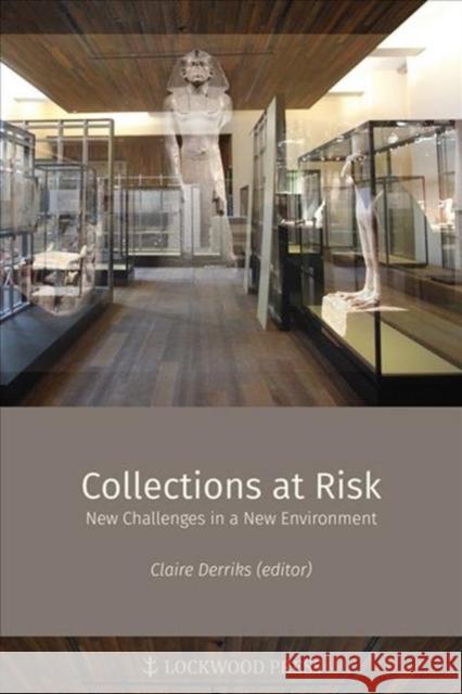 Collections at Risk: New Challenges in a New Environment Derriks, Claire 9781937040604 Lockwood Press - książka