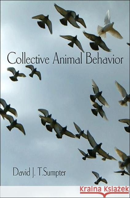 Collective Animal Behavior David Sumpter 9780691148434  - książka