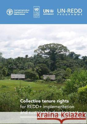 Collective tenure rights for REDD+ implementation and sustainable development Serena Fortuna 9789251340158 Food & Agriculture Organization of the United - książka