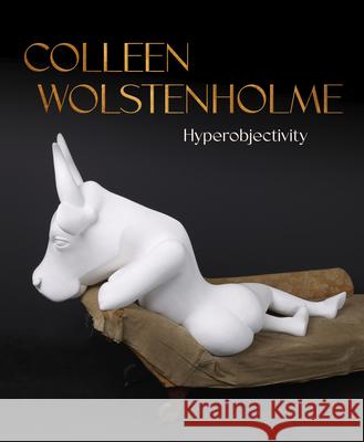 Colleen Wolstenholme: Hyperobjectivity Ray Cronin Laura J. Ritchie 9781773104546 Goose Lane Editions - książka
