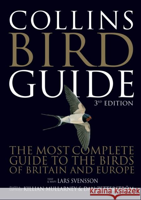 Collins Bird Guide Dan Zetterstroem 9780008547455 HarperCollins Publishers - książka