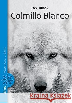 Colmillo Blanco Jack London 9789561230408 Zig-Zag - książka