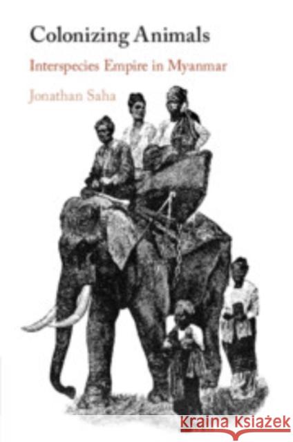 Colonizing Animals Jonathan (Durham University) Saha 9781108964630 Cambridge University Press - książka