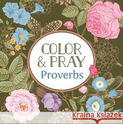 Color & Pray: Proverbs (Keepsake Coloring Books) New Seasons                              Publications International Ltd 9781639385775 New Seasons - książka