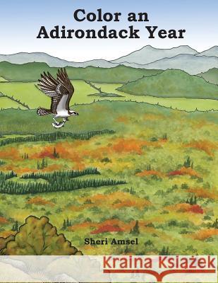 Color an Adirondack Year Sheri Amsel 9781548188245 Createspace Independent Publishing Platform - książka