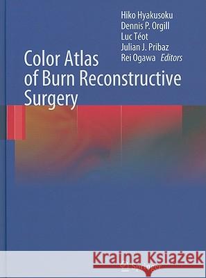 Color Atlas of Burn Reconstructive Surgery Hiko Hyakusoku 9783642050695 Springer - książka