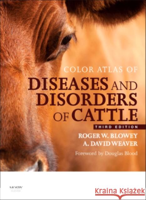 Color Atlas of Diseases and Disorders of Cattle Roger Blowey A. David Weaver  9780723437789 Mosby - książka