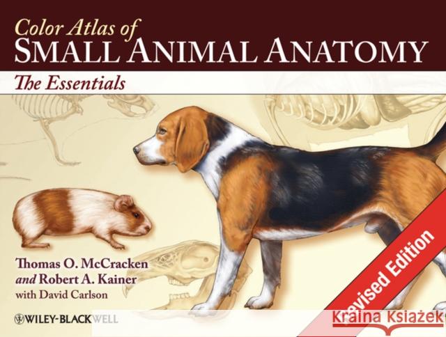 Color Atlas of Small Animal Anatomy: The Essentials Kainer, Robert A. 9780813816081 IOWA STATE UNIVERSITY PRESS - książka