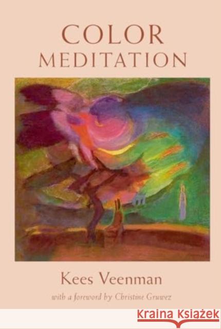 Color Meditation Kees Veenman Christine Gruwez 9781584208730 Lindisfarne Books - książka