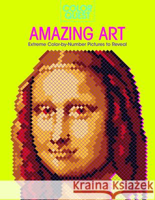 Color Quest: Amazing Art  9781438089409 B.E.S. - książka