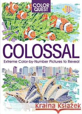 Color Quest: Colossal: The Ultimate Color-By-Number Challenge Joanna Webster John Woodcock Daniela Geremia 9781438089539 B.E.S. - książka