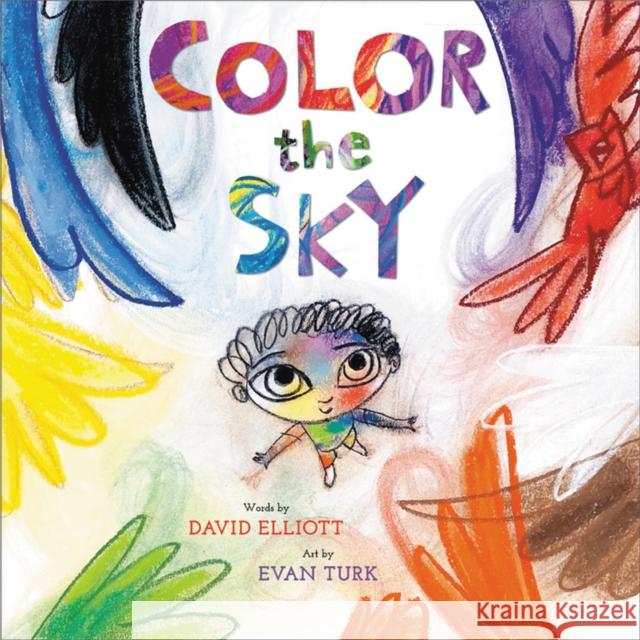 Color the Sky David Elliott Evan Turk 9780316212076 Little, Brown & Company - książka