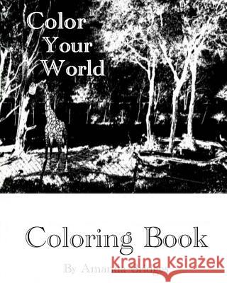 Color Your World - Coloring Book Amanda R. Bridges 9781979595889 Createspace Independent Publishing Platform - książka