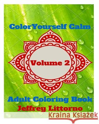 Color Yourself Calm, Volume 2: Adult Coloring Book Jeffrey Littorno 9781522756064 Createspace Independent Publishing Platform - książka