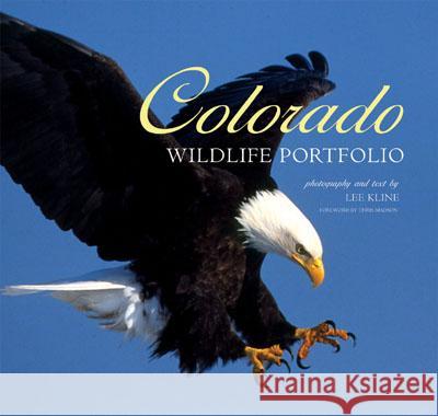 Colorado Wildlife Portfolio Kline 9781560373568 Farcountry Press - książka