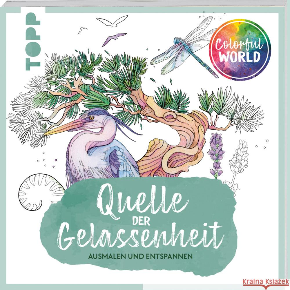 Colorful World - Quelle der Gelassenheit Persson, Amelie, Zihm, Marina, Dierksen, Mila 9783735880772 Frech - książka