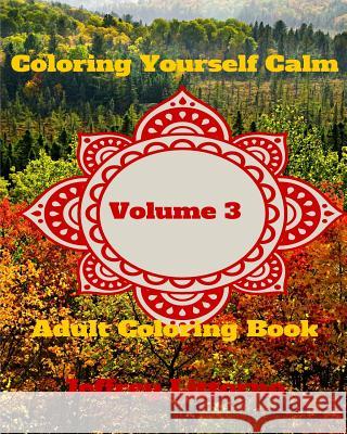 Coloring Yourself Calm, Volume 3: Adult Coloring Book Jeffrey Littorno 9781522858263 Createspace Independent Publishing Platform - książka