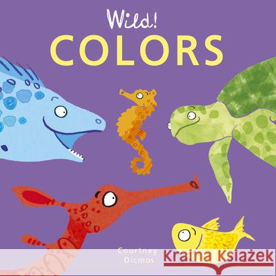Colors Courtney Dicmas Courtney Dicmas 9781846439964 Child's Play International - książka