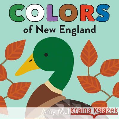 Colors of New England Amy Mullen 9781938093999 Duo Press - książka