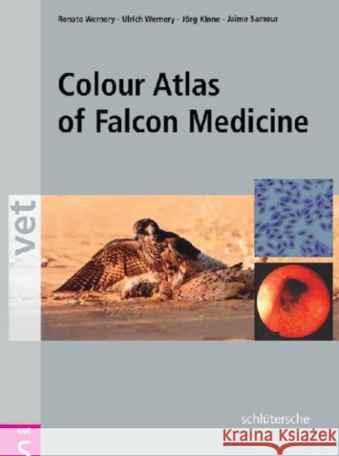 Colour Atlas of Falcon Medicine Renate Wernery Ulrich Wernery Jorg Kinne 9783899930078 Blackwell Publishing Professional - książka