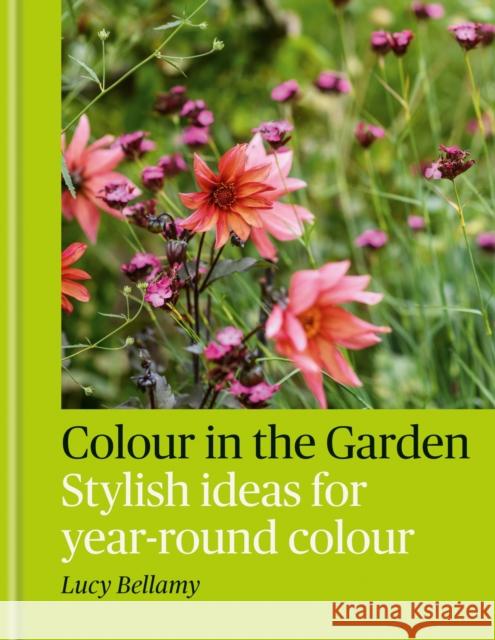 Colour in the Garden Lucy Bellamy 9781784729349 Octopus Publishing Group - książka