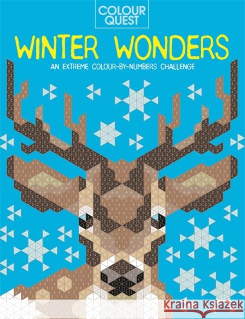 Colour Quest®: Winter Wonders: An Extreme Colour by Numbers Challenge  9781789293029 Michael O'Mara Books Ltd - książka