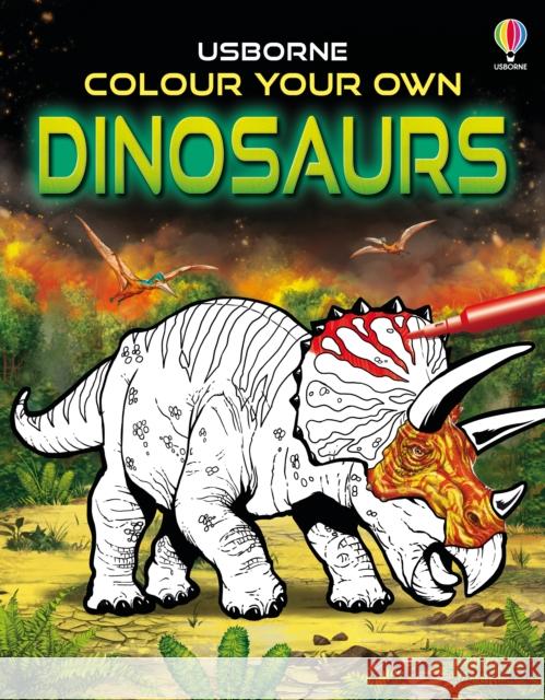 Colour Your Own Dinosaurs SIMON TUDHOPE 9781801315845 Usborne Publishing Ltd - książka