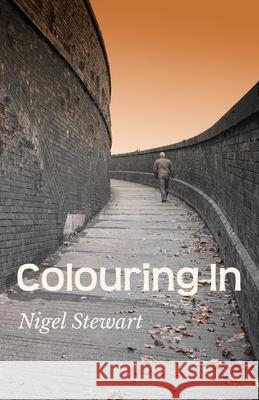 Colouring In Nigel Stewart Vivienne Ainslie Vivienne Ainslie 9781912677061 Purple Parrot Publishing - książka