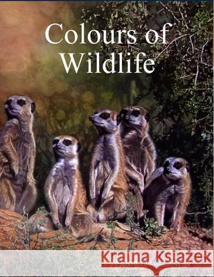 Colours of Wildlife Willem Va 9780244448462 Lulu.com - książka