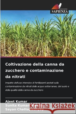 Coltivazione della canna da zucchero e contaminazione da nitrati Kumar, Ajeet, Kumari Meena, Sunita, Chattopadhyay, Sayan 9786200847010 Edizioni Sapienza - książka