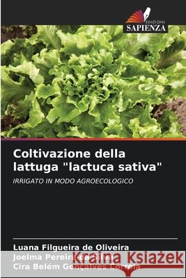 Coltivazione della lattuga 