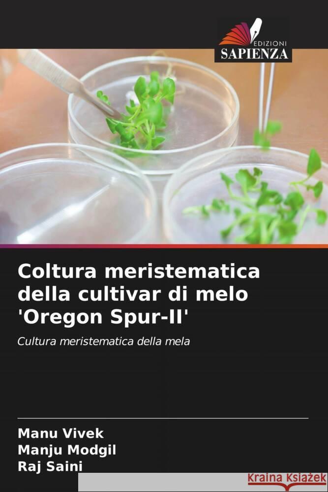 Coltura meristematica della cultivar di melo 'Oregon Spur-II' Vivek, Manu, Modgil, Manju, Saini, Raj 9786204992327 Edizioni Sapienza - książka