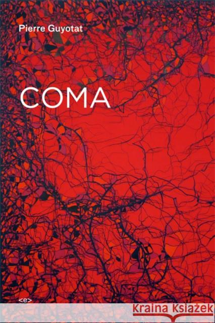 Coma Pierre Guyotat 9781584350897 Autonomedia - książka