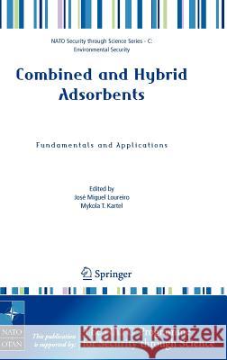 Combined and Hybrid Adsorbents: Fundamentals and Applications Loureiro, José M. 9781402051708 Springer - książka