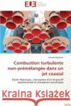 Combustion Turbulente Non-Prémélangée Dans Un Jet Coaxial Maghrebi-A 9783841733610 Editions Universitaires Europeennes