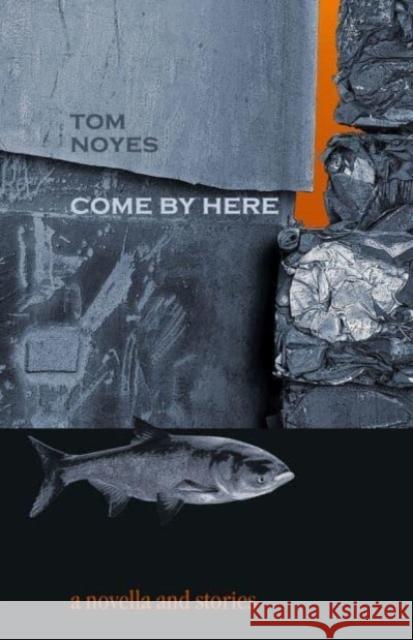 Come by Here: A Novella and Short Stories Tom Noyes 9781932870930 Autumn House Press - książka