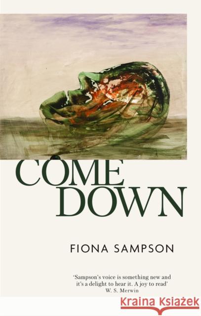 Come Down Fiona Sampson 9781472155160 Little, Brown Book Group - książka