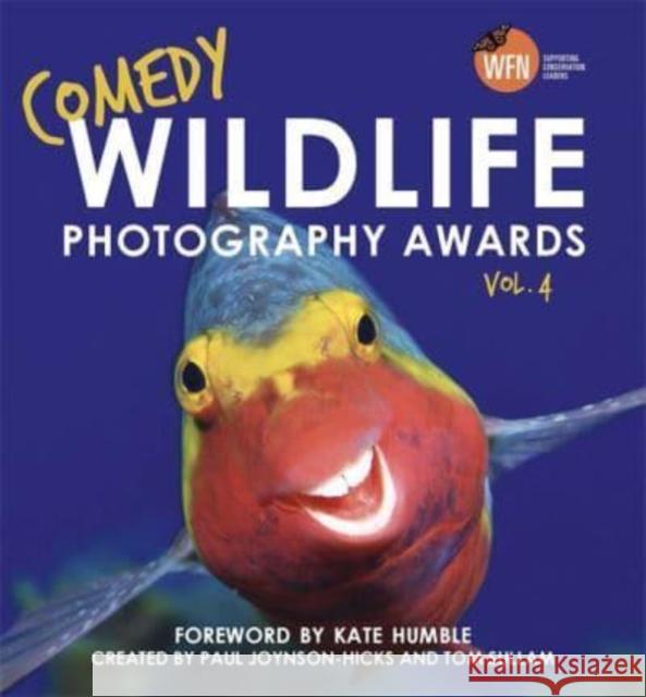 Comedy Wildlife Photography Awards Vol. 4: The hilarious Christmas gift Paul Joynson-Hicks & Tom Sullam 9781789466553 John Blake Publishing Ltd - książka